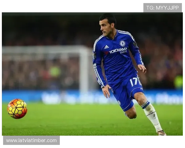 威廉姆斯无球跑位拉开与吉尔得分结构不同